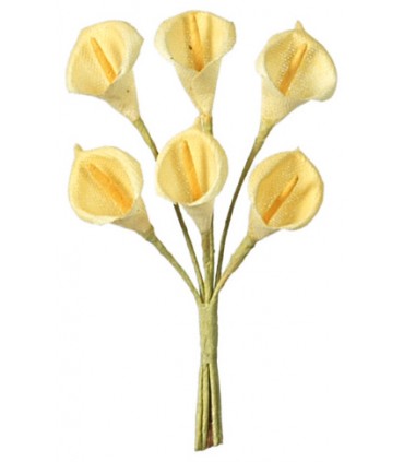 Arum jaune
