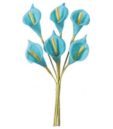 Arum turquoise