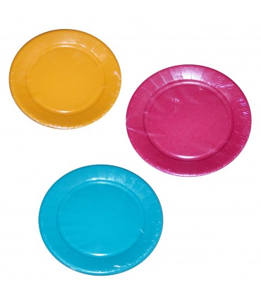Assiette carton 23cm couleurs