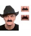 Moustache américaine