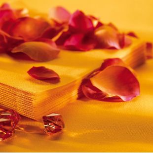 50 m Nappe non tissé unie