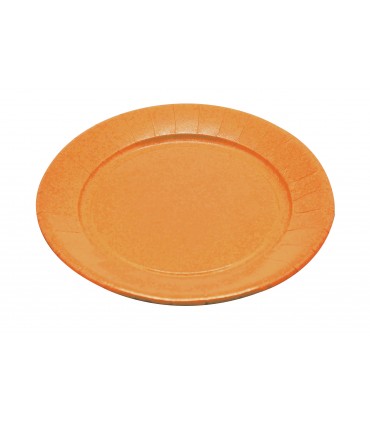 Assiette carton repas