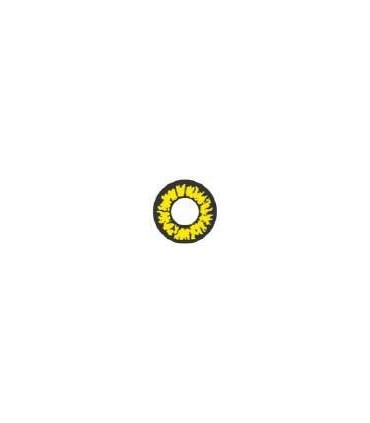 Lentilles fantaisies journalières