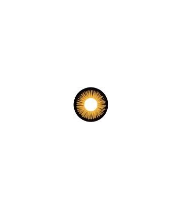 Lentilles fantaisies journalières