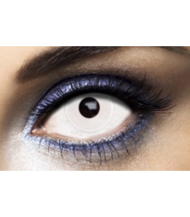 lentille blanche